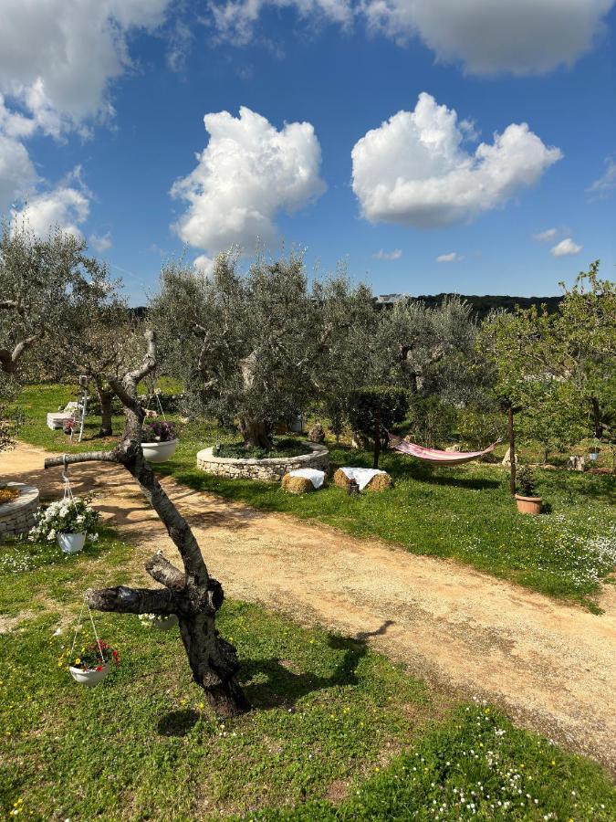 Trulli Barsento Pensionat Alberobello Exteriör bild