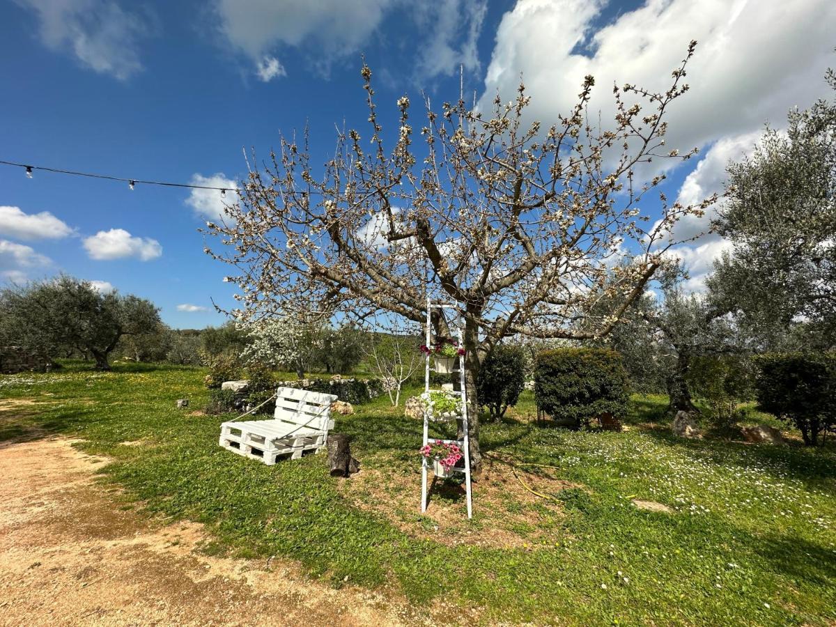Trulli Barsento Pensionat Alberobello Exteriör bild