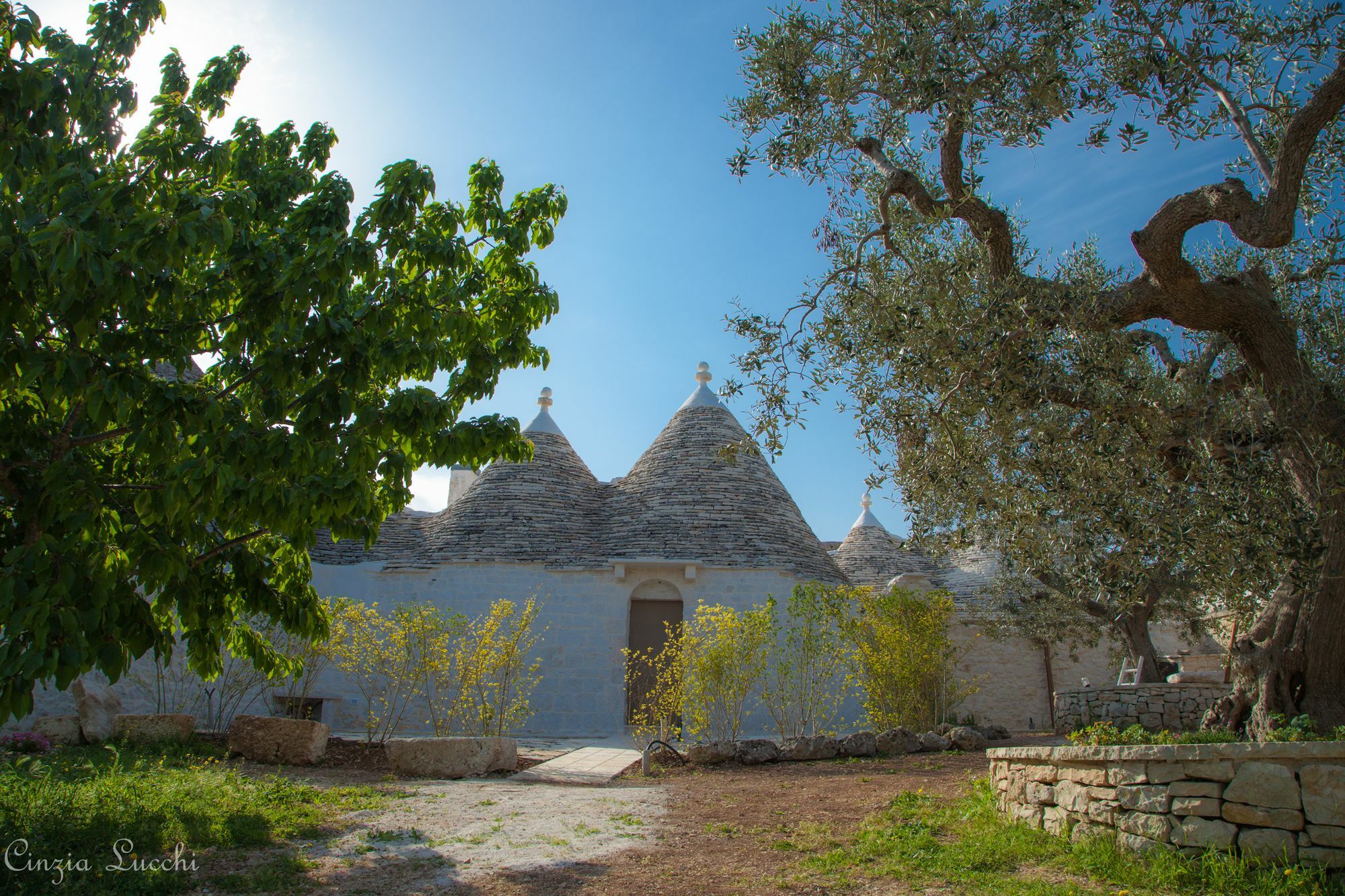 Trulli Barsento Pensionat Alberobello Exteriör bild